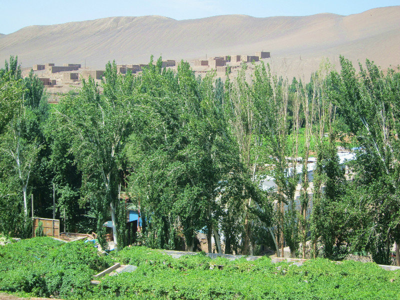 Turpan and the houses they build to stock dry grapes