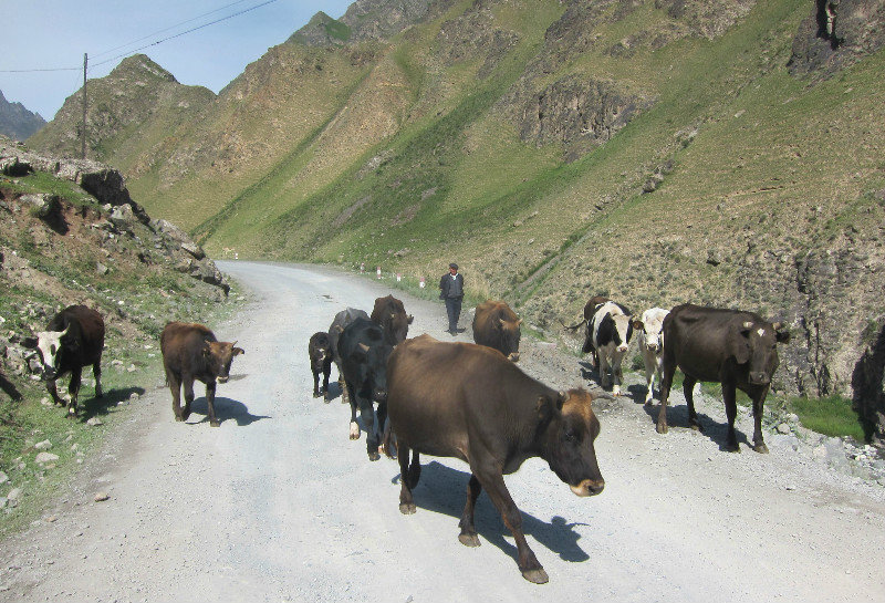on Road 216, in Xinjiang