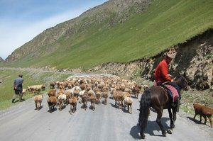 Welcome to Tian Shan, on Road 216