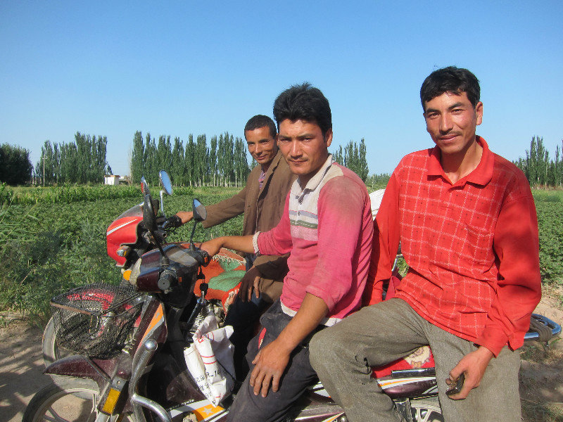 Uyghur farmers