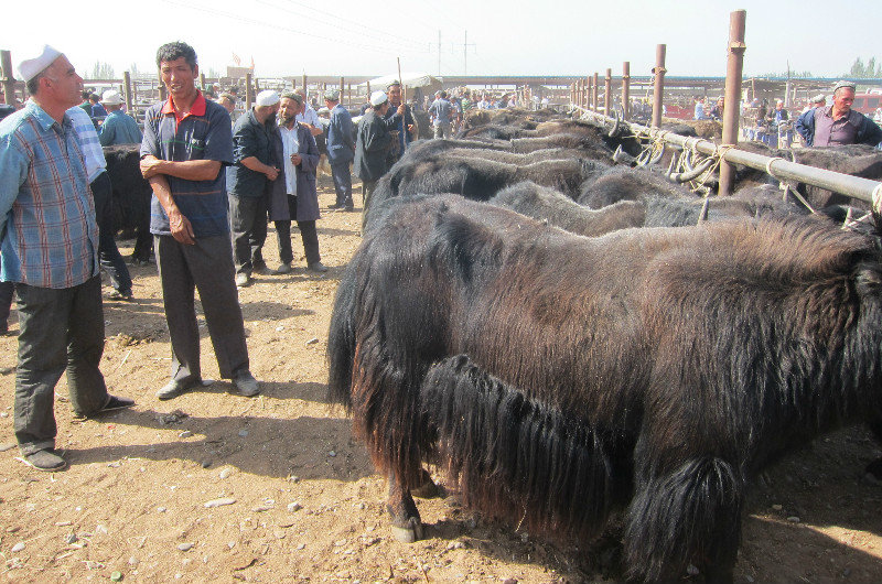 walking around the market in Kashgar