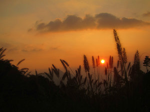 Sunset in Anhui