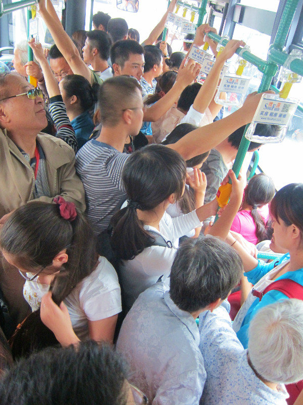 sardines in a bus