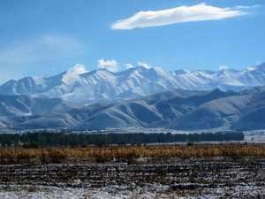 Kyrgyz beauty