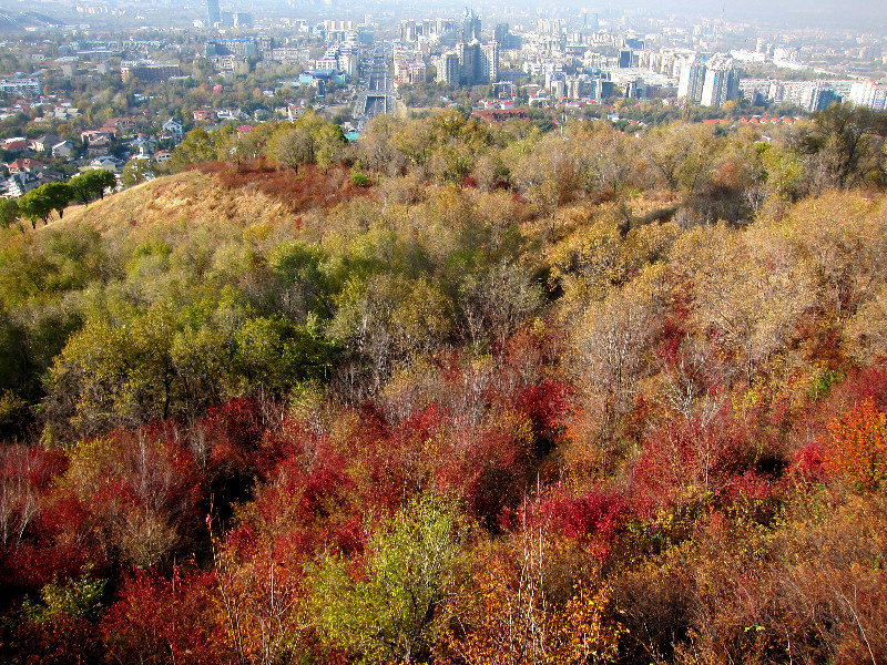 Almaty, Oct. 2013