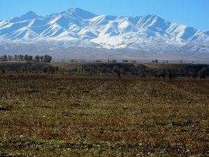 This is what you see when you are in Kyrgyzstan