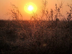 Sunset on Kazakhstan