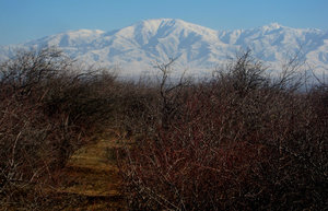 Tajikistan to my left