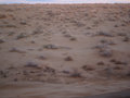 desert in Uzbekistan