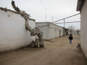 visiting Khiva