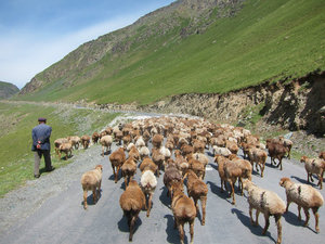 in the Tian Shan