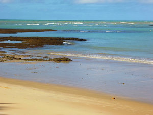 Beach at Praia do Forte