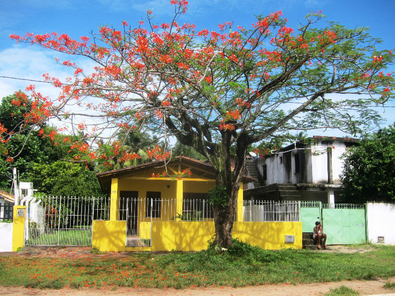 colorful street scene on Ilha Itaparica