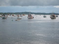 boats in Gamboa