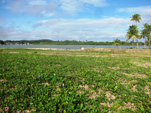 where we camped, on our way to Boipeba village, on the other side