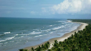 Bahian coast