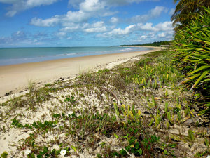 beach at Trancoso: it's pretty much ours!