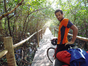 Cycling to the beach, through mangroves. 