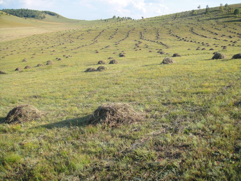 all alone in Inner-Mongolia