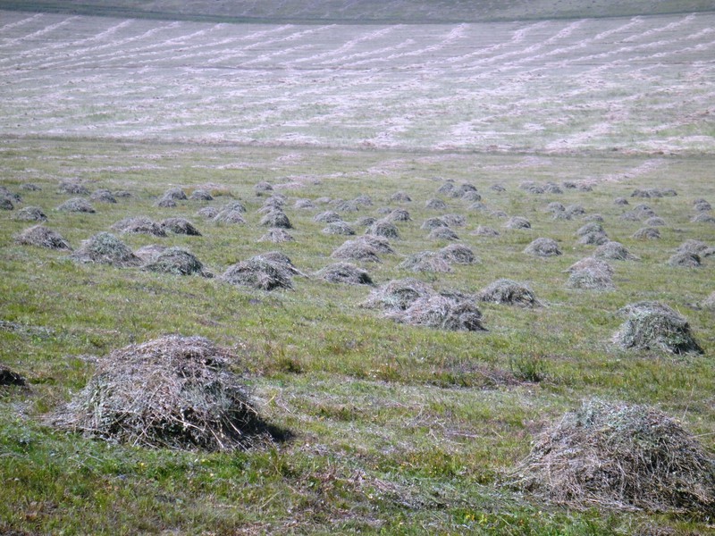 more haystacks...