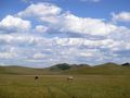Nice! This is Inner-Mongolia