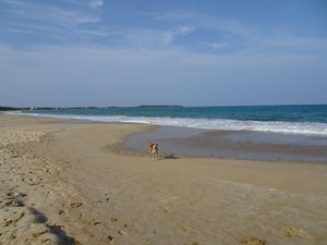 Kalkudah Beach is entirely his