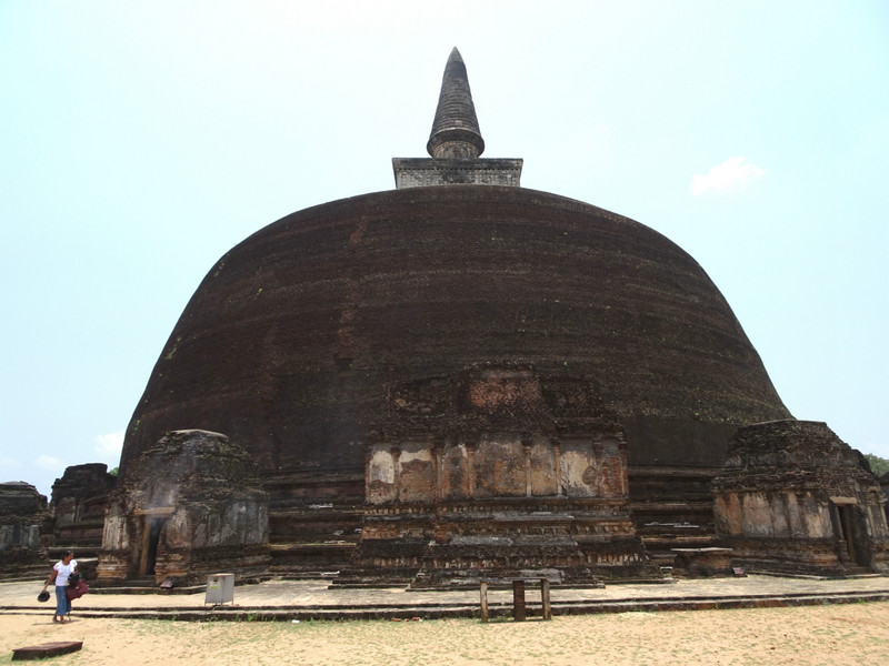 dogoba majestueux à Anuradhapura