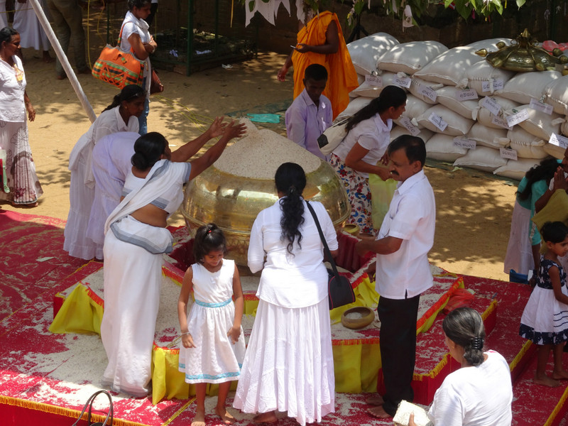 offrandes de riz pres du Bodhi Tree, arbre sacré
