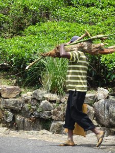 carrying wood and tools down the mountain