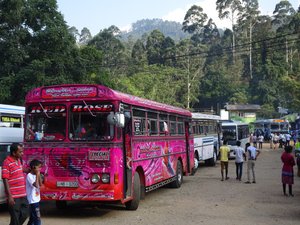 les bus du Sri Lanka