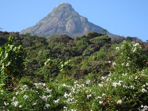 Climbing Sri Pada