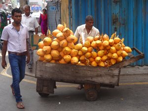 noix de coco à Colombo