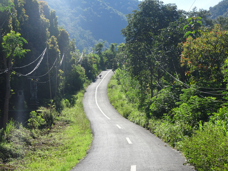 beautiful quiet roads in the middle of the island | Photo