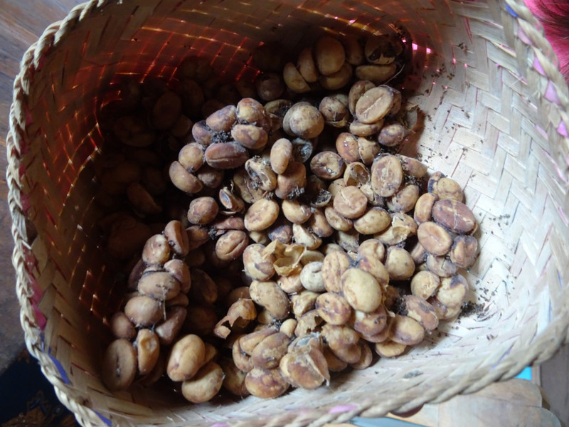 Kopi Luwak - Luwak Coffee