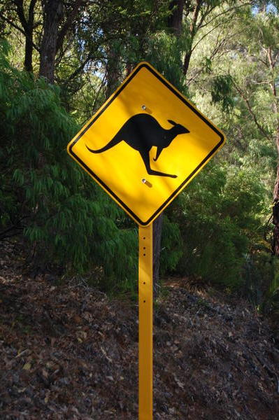 Welcome to Australia!