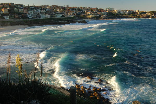 View from the infamous Bondi to Coogee walk