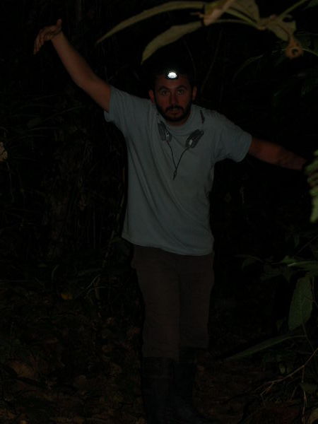 We went for walks in the jungle at night by torchlight