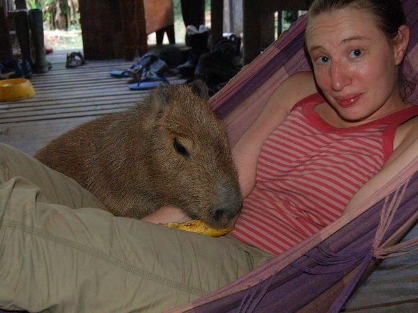 ... who hung out with us in the hammock ...