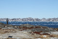 Drivende is i Godthåbsfjorden