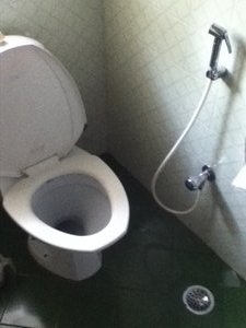 Our toilet... The only sight Tals has seen in the last 24 hrs!