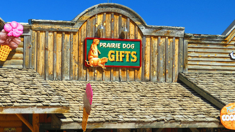 Prairie Dog Day was Last Week