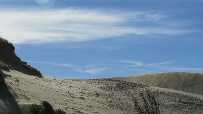 Dunes and More Dunes