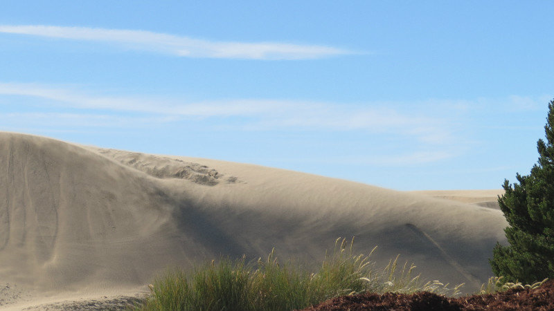 Dunes and More Dunes