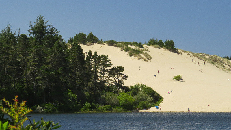 Dunes in the State Park