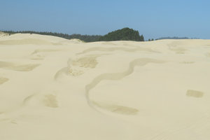 Wind and Dunes