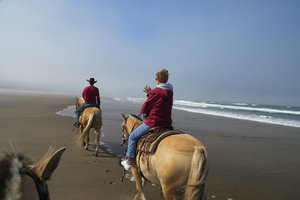 Marge's Riding in the Beach Dream - Norwegian Fjord Horses