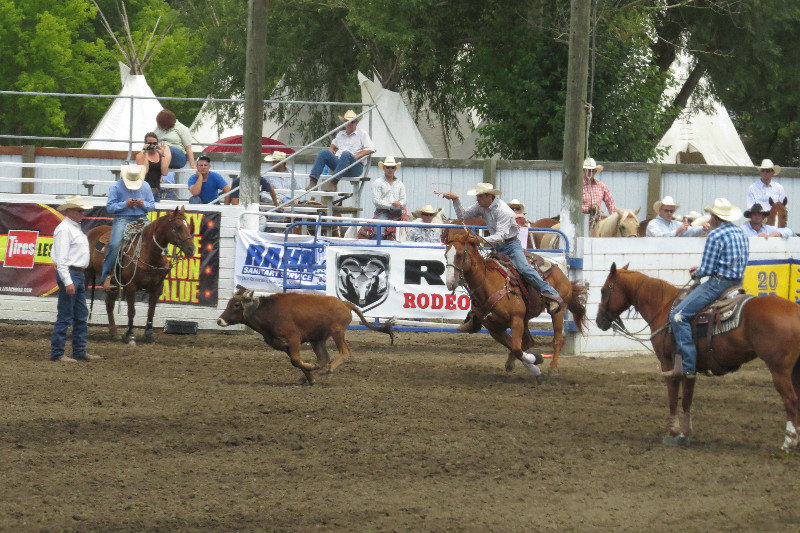 Rodeo Shots You Might Enjoy