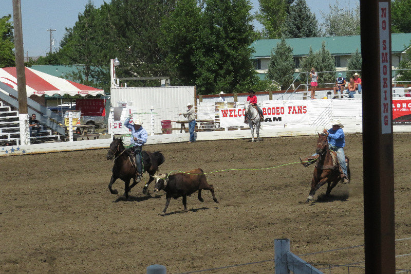 Rodeo Shots You Might Enjoy2