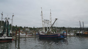 Many Fishing Boats of All Types