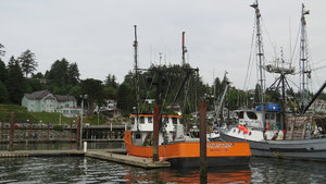 Many Fishing Boats of All Types